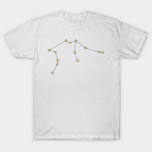 AQUARIUS CONSTELLATION T-Shirt